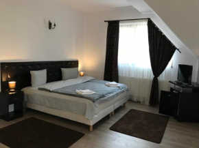 Отель Cochet Accommodation, Пятра Нямц